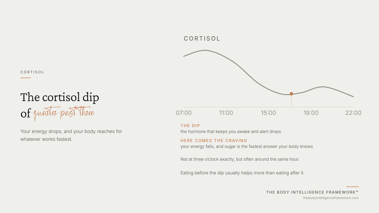 How cortisol moves through the day, with the afternoon dip where cravings appear, from the Body Intelligence Framework by Agaath Zondervan