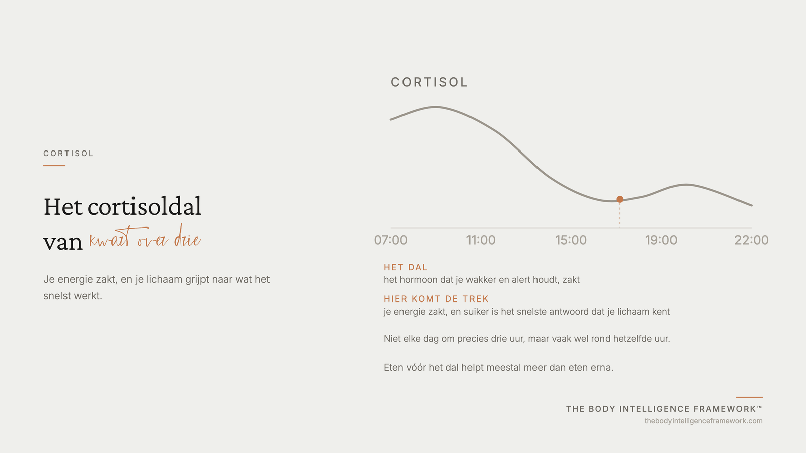 Het verloop van cortisol over de dag, met het dal in de middag waar trek ontstaat, uit het Body Intelligence Framework van Agaath Zondervan