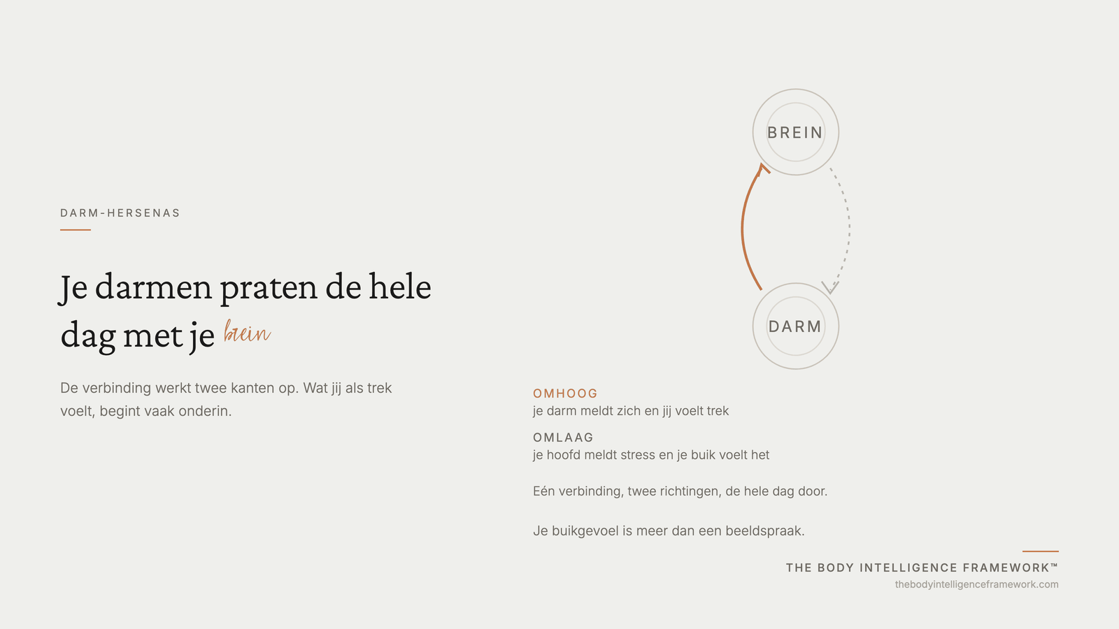 Diagram van de darm-hersenas: signalen gaan de hele dag beide kanten op tussen darm en brein, uit het Body Intelligence Framework van Agaath Zondervan