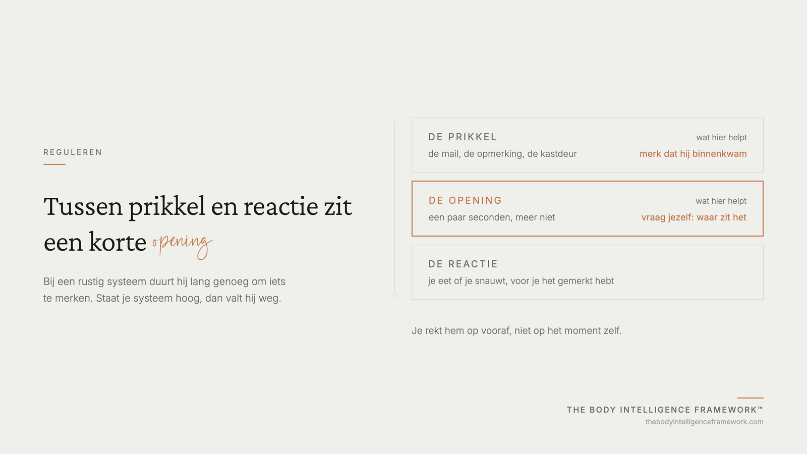 De korte opening tussen een prikkel en je reactie, en waarom die wegvalt onder spanning, uit het Body Intelligence Framework van Agaath Zondervan