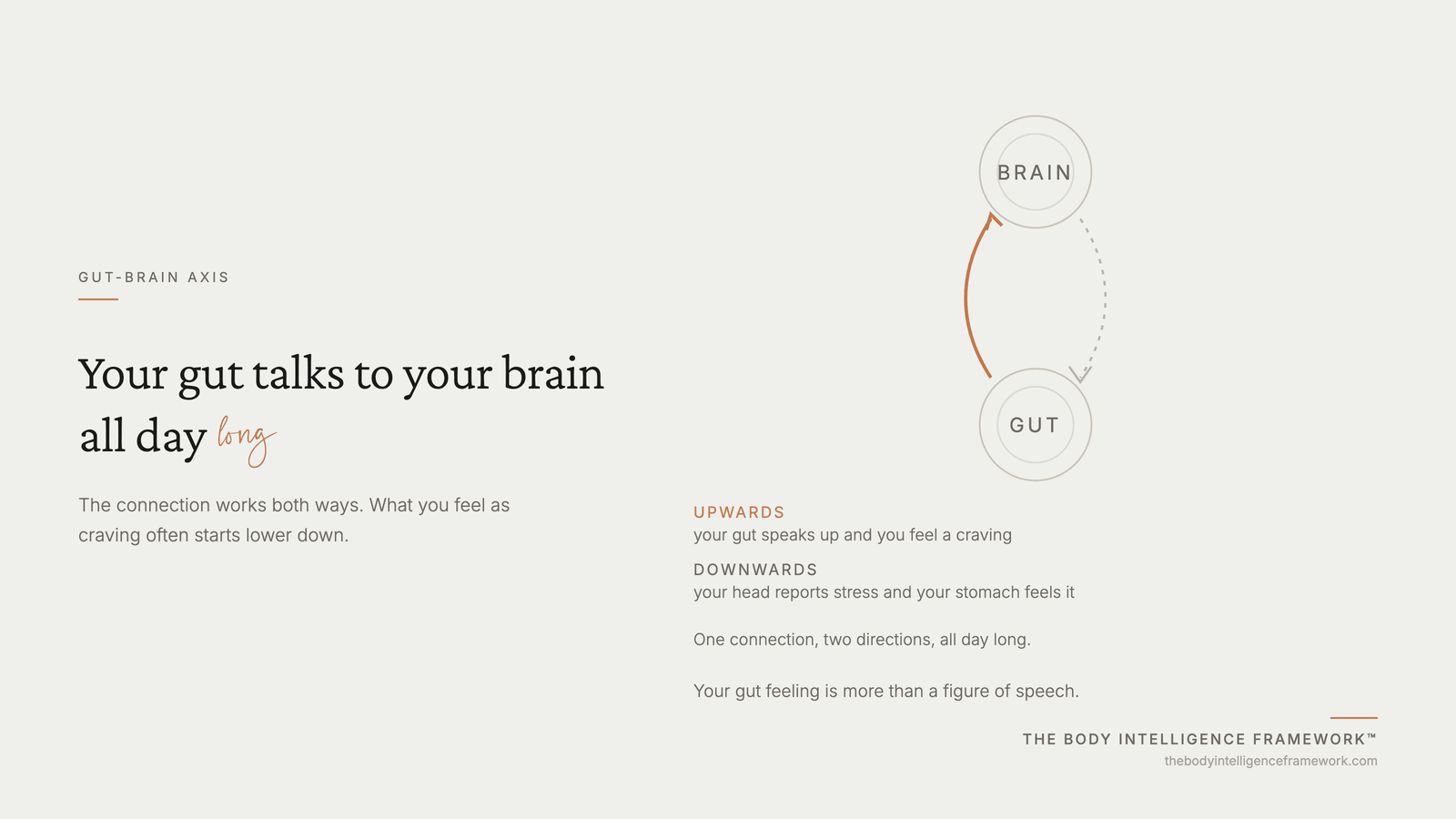 Diagram of the gut-brain axis: signals travel both ways between gut and brain all day, from the Body Intelligence Framework by Agaath Zondervan