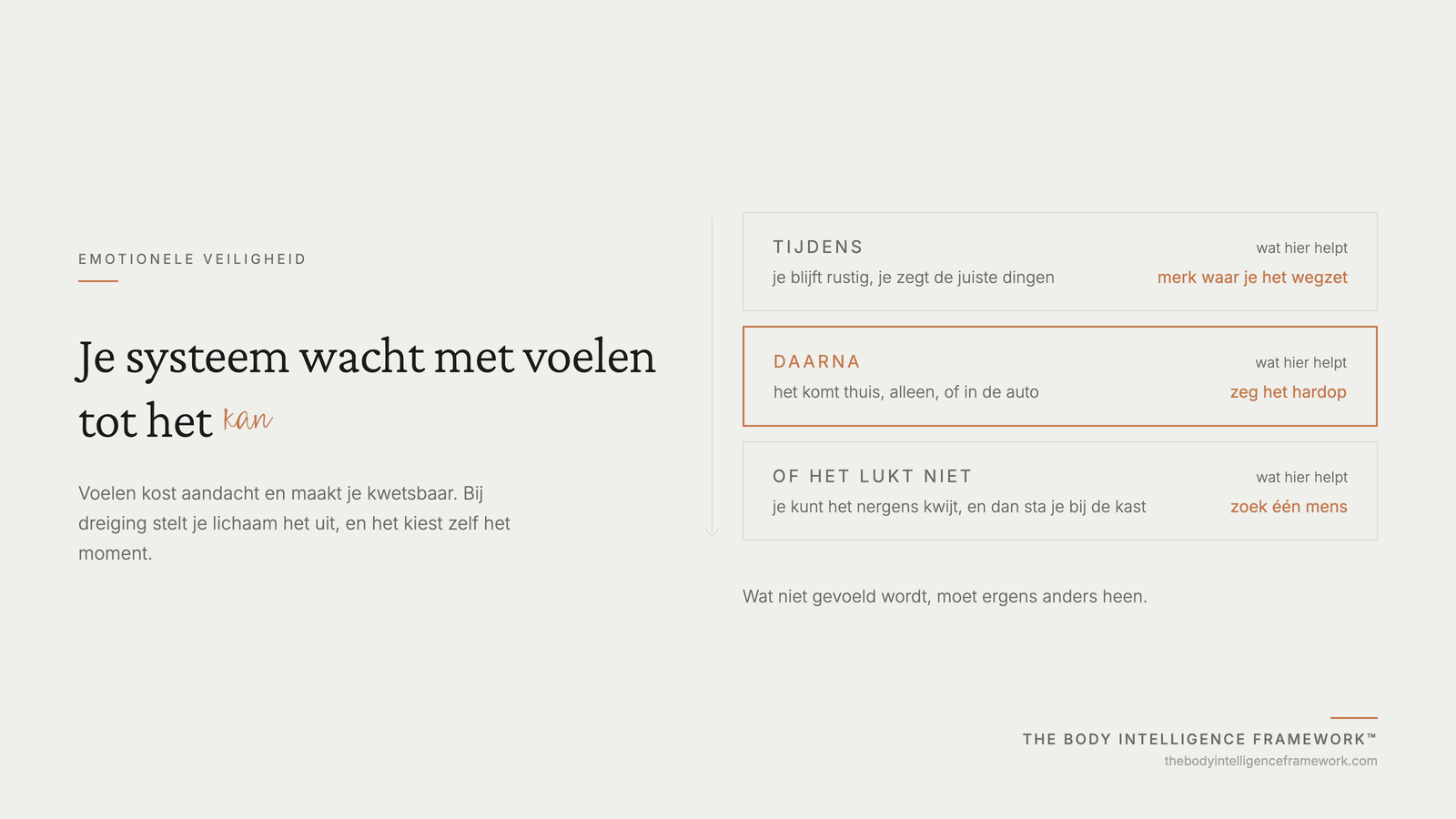 Waarom je systeem wacht met voelen tot het veilig is, en wat er gebeurt als dat moment niet komt, uit het Body Intelligence Framework van Agaath Zondervan
